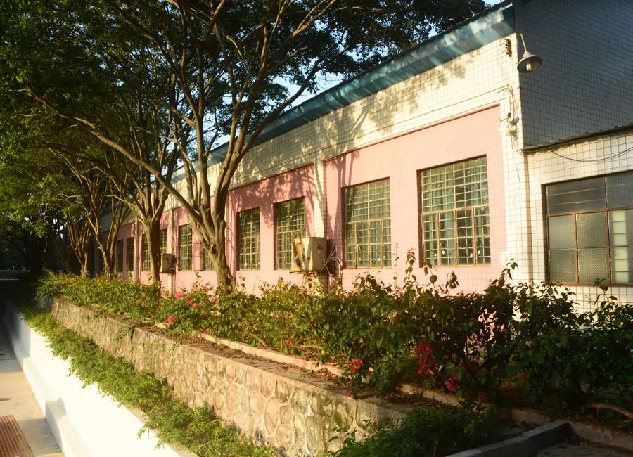學(xué)在省電商丨不負(fù)最美校園，不負(fù)青春時(shí)光