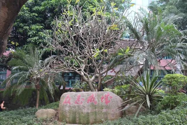 學(xué)在省電商丨不負(fù)最美校園，不負(fù)青春時(shí)光
