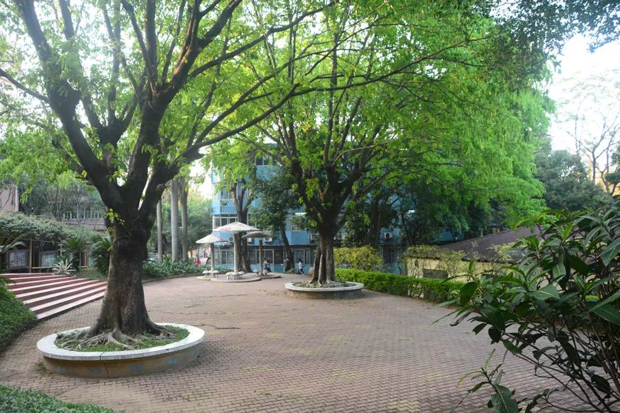 學(xué)在省電商丨不負(fù)最美校園，不負(fù)青春時(shí)光