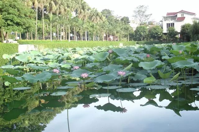 學(xué)在省電商丨不負(fù)最美校園，不負(fù)青春時(shí)光