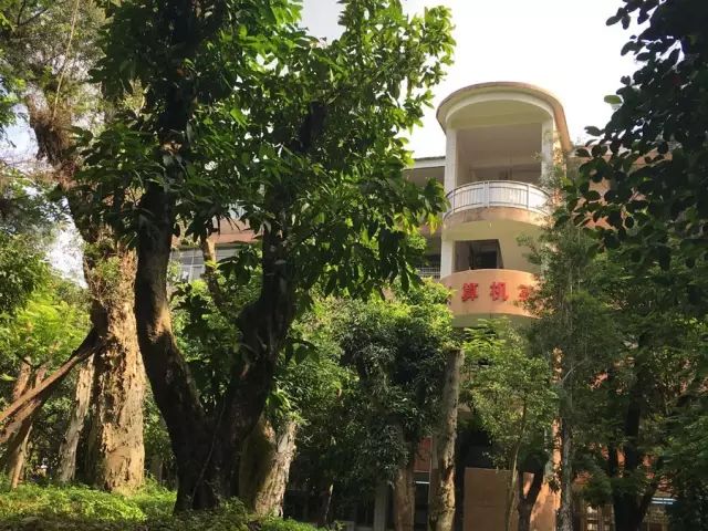 學(xué)在省電商丨不負(fù)最美校園，不負(fù)青春時(shí)光