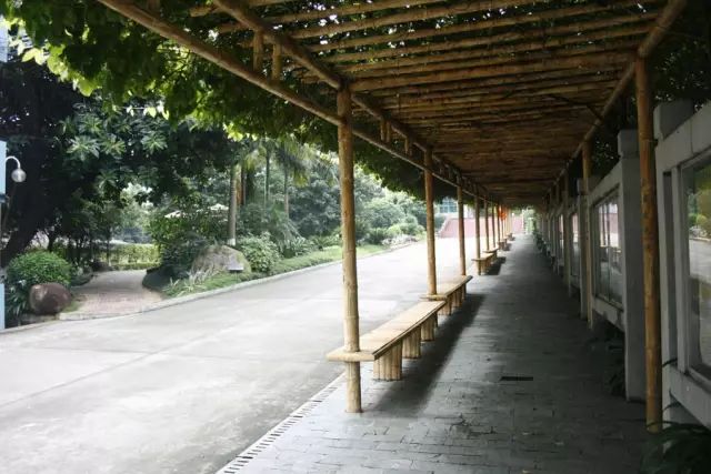 學(xué)在省電商丨不負(fù)最美校園，不負(fù)青春時(shí)光