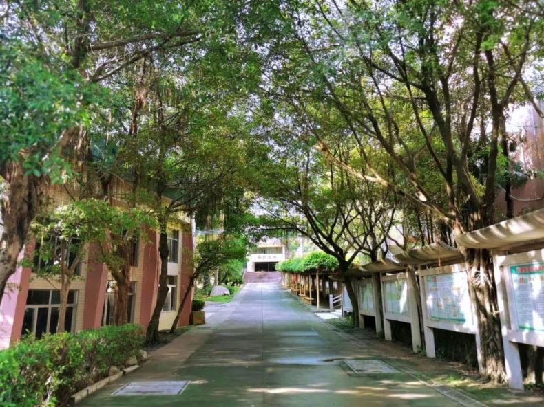 -5 廣州電子商務(wù)學(xué)校有哪些-廣州電子商務(wù)學(xué)校名單-廣東技校排名網(wǎng)